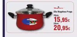 FROIZ MAGEFESA Olla Praga oferta