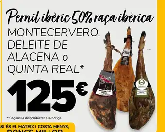 Peril ibèric 50% raça ibèrica