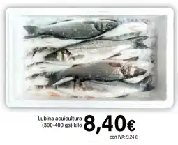 Cash Ifa Lubina acuicultura oferta