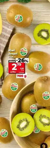 Dia Zespri - kiwi 700 g oferta