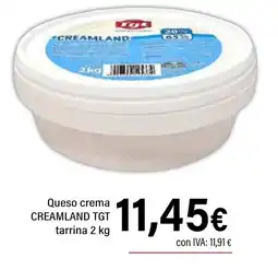 Cash Ifa TGT Creamland queso crema tarrina oferta