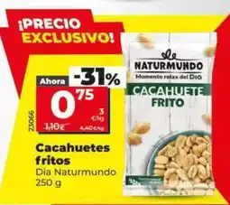 Dia Dia naturmundo - cacahuetes fritos oferta