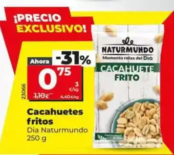 Dia Dia naturmundo - cacahuetes fritos oferta