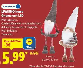 LIVARNO HOME Gnomo con LED