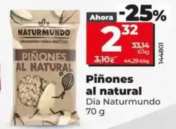Dia Dia naturmundo - piñones al natural oferta