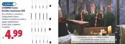 Lidl LIVARNO HOME Varillas luminosas LED oferta