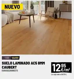 Brico Depôt Suelo laminado ac5 8mm caubert oferta