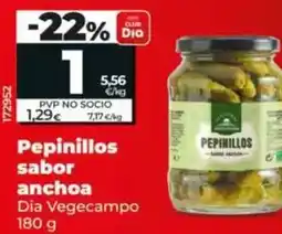 Dia Dia vegecampo - pepinillos sabor anchoa oferta