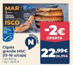 La Sirena Cigala grande MSC oferta