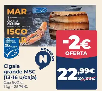 La Sirena Cigala grande MSC oferta