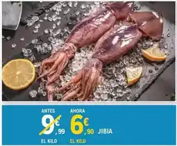 E.Leclerc Jíbia oferta