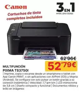 Dia Zespri - kiwi oferta