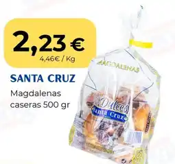 Sangüi SANTA CRUZ Magdalenas caseras oferta