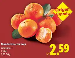 Lidl Mandarina con hoja oferta