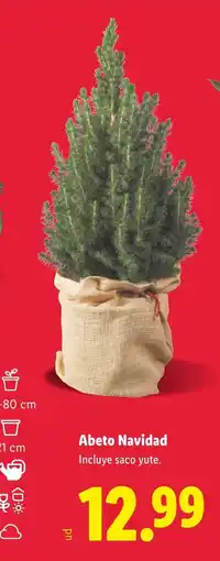 Lidl Abeto Navidad oferta