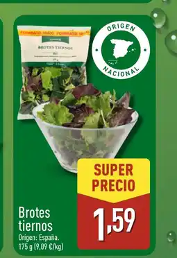 ALDI Brotes tiernos oferta