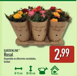 ALDI GARDENLINE Rosal oferta