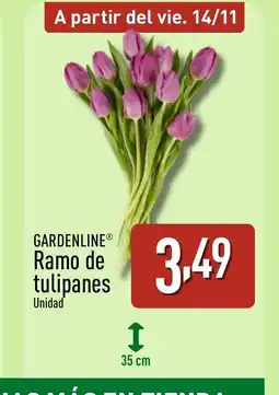 ALDI GARDENLINE Ramo de tulipanes oferta
