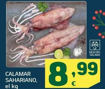 HiperDino Calamar sahariano oferta