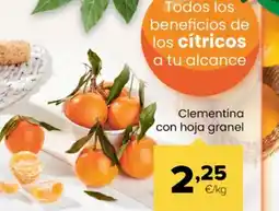 Autoservicios Familia Clementina con hoja granel oferta