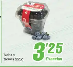 SPAR Fragadis Nabius terrina oferta