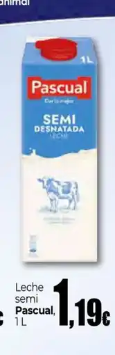 Unide Supermercados PASCUAL Leche semi oferta