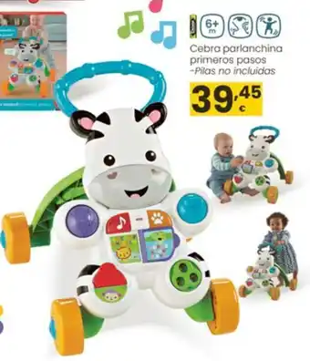 Cebra parlanchina primeros pasos