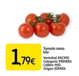 Dialprix Tomate rama oferta