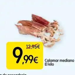 Dialprix Calamar mediano oferta