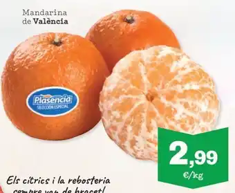 Mandarina de València