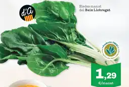 Sorli Bledes manat del Baix Llobregat oferta