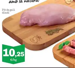 Sorli Pit de gall dindi oferta