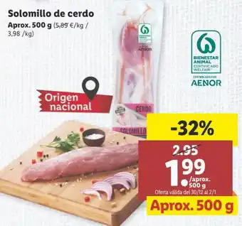 Lidl Solomillo de cerdo 500g oferta