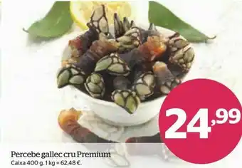 La Sirena Percebes oferta