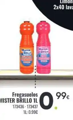 Family Cash MISTER BRILLO Fregasuelos oferta