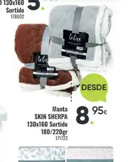 Family Cash Manta Surtido oferta