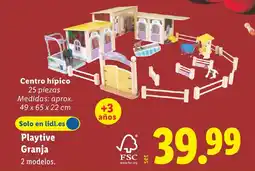 Lidl Centro hípico oferta
