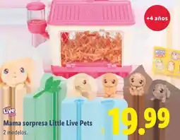 Lidl Mama sorpresa Little Live Pets oferta