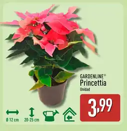 ALDI GARDENLINE Princettia oferta