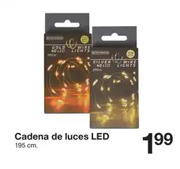 Zeeman Cadena de luces led oferta