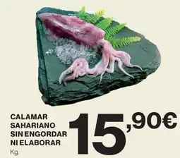 Supercor Calamar sahariano sin engordar ni elaborar oferta