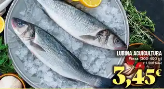 Gadis Lubina acuicultura oferta