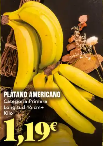Gadis Plátano americano oferta