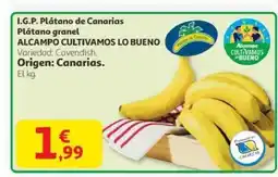 Alcampo I.G.P. Plátano de Canarias Plátano granel oferta