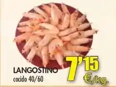 TOP Cash & Carry Mexifoods - tortillas de maiz oferta