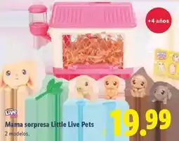 Lidl Little live pets - mama sorpresa oferta