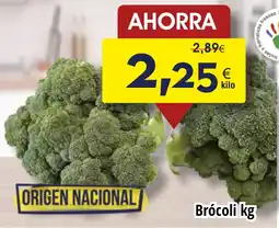 FROIZ Brócoli oferta