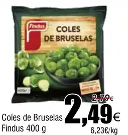 FROIZ FINDUS Coles de Bruselas oferta