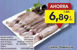 FROIZ Calamar Patagónico oferta