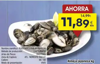 FROIZ Almeja japonesa oferta